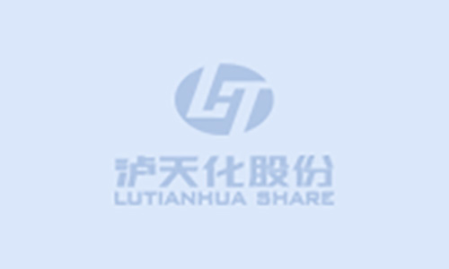 2024年四川瀘天化股份有限公司環(huán)境、社會與治理（ESG）報告