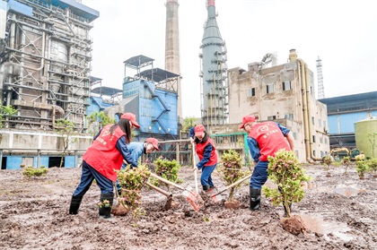瀘天化股份公司開展義務(wù)植樹活動