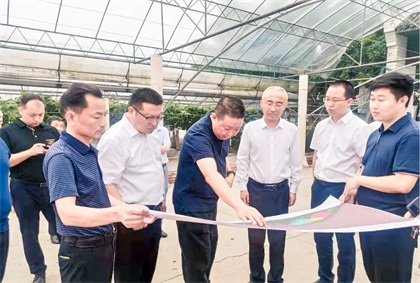 瀘州市委常委、組織部長曹斌率隊調(diào)研瀘天化納溪現(xiàn)代農(nóng)業(yè)種植園項目