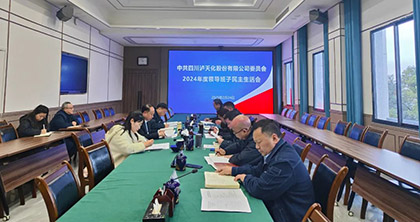 瀘天化股份公司黨委召開2024年度領導班子民主生活會
